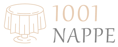 logo-1001-nappe