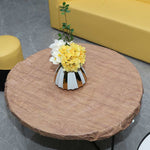 Nappe Ronde Plastique - Vignette | 1001 Nappe